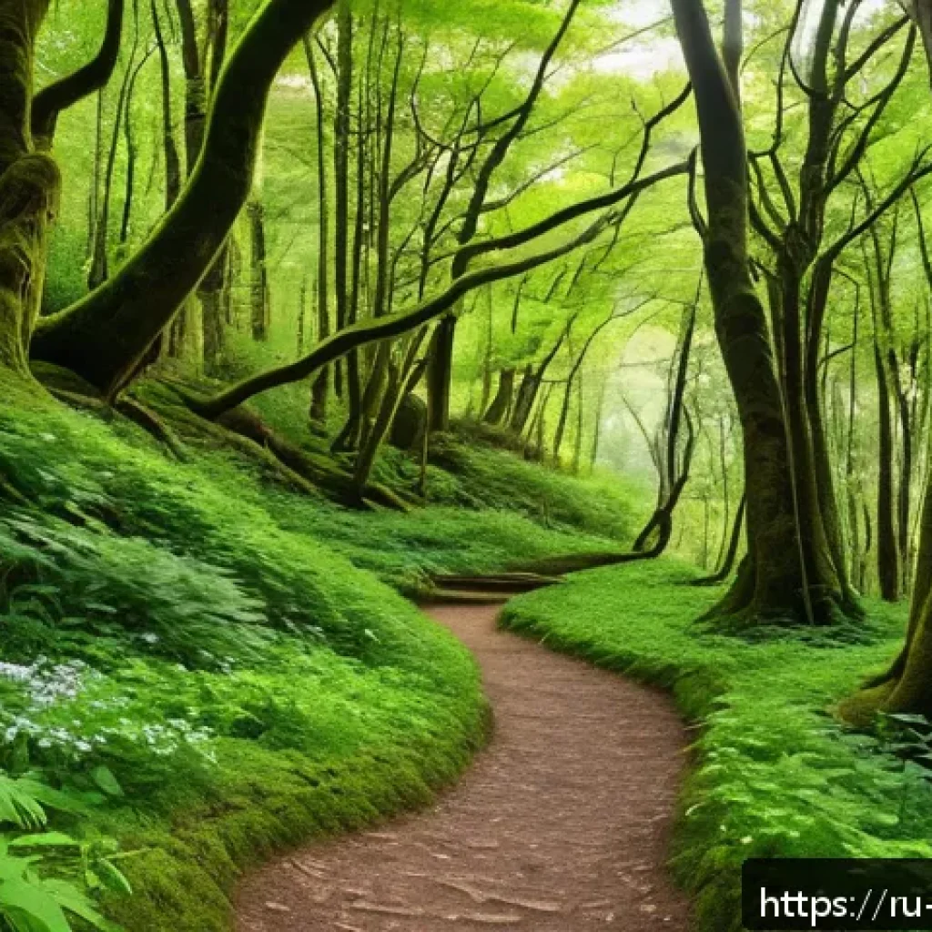 띠띠뽀 배경지 실제 여행 정보 - A dense, enchanting forest path winding through tall, ancient trees with lush green foliage and scat...